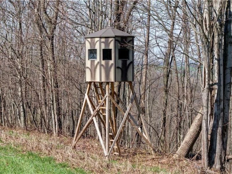 Township Road 262, Kimbolton, OH 43749 Photo 35