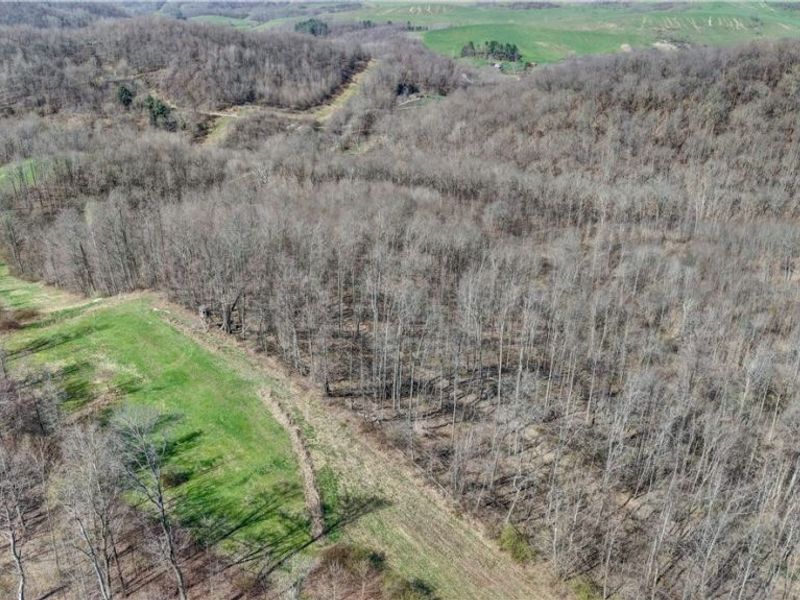 Township Road 262, Kimbolton, OH 43749 Photo 36