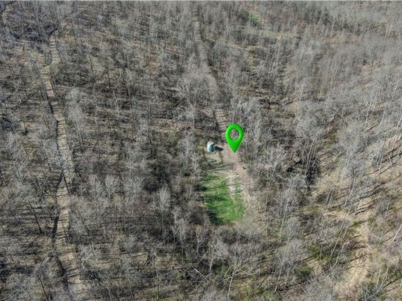 Township Road 262, Kimbolton, OH 43749 Photo 37