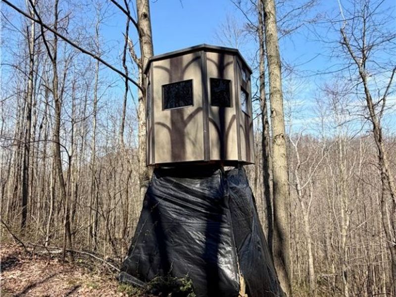 Township Road 262, Kimbolton, OH 43749 Photo 38