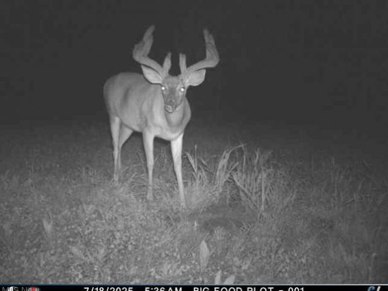 Township Road 262, Kimbolton, OH 43749 Photo 41