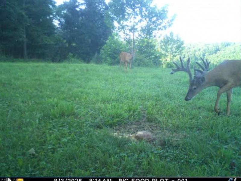 Township Road 262, Kimbolton, OH 43749 Photo 42