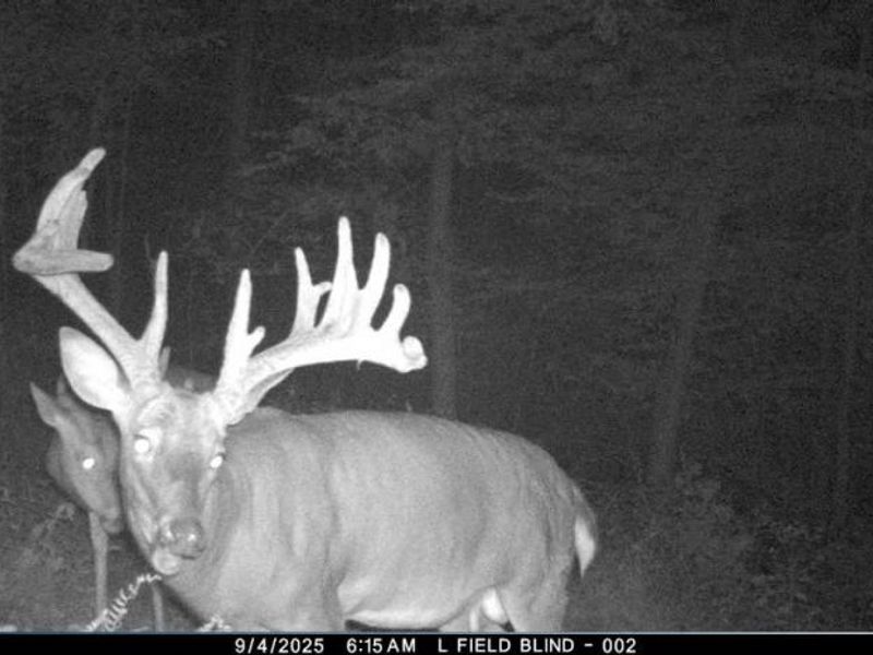 Township Road 262, Kimbolton, OH 43749 Photo 43