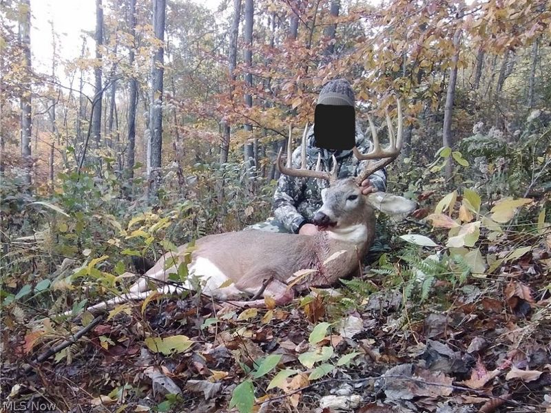 Township Road 262, Kimbolton, OH 43749 Photo 45