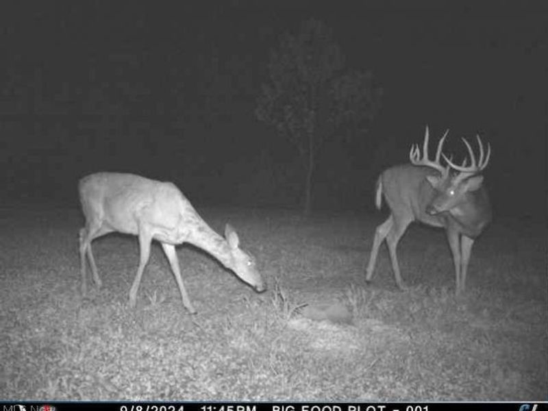 Township Road 262, Kimbolton, OH 43749 Photo 46