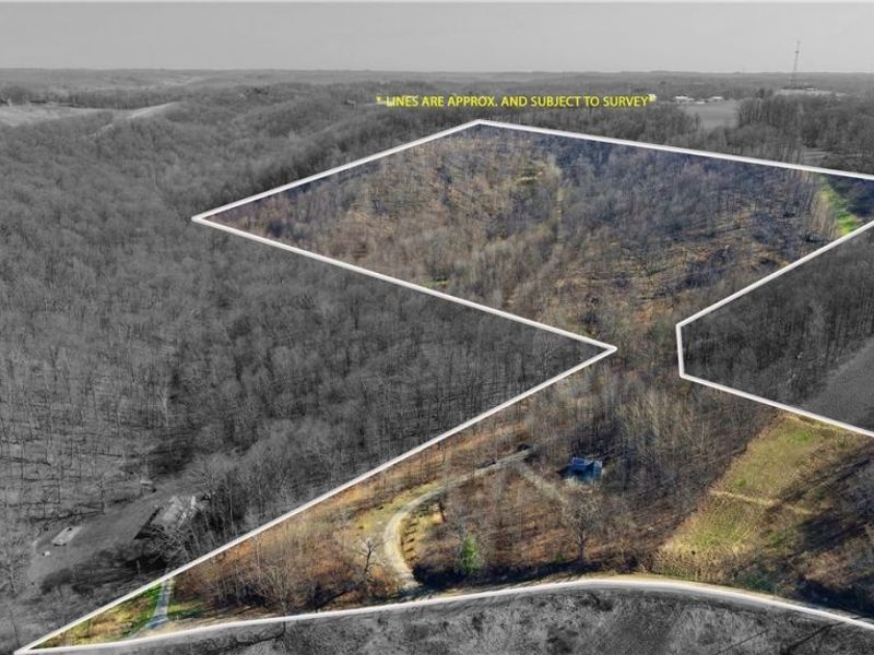 Township Road 262, Kimbolton, OH 43749 Photo 50