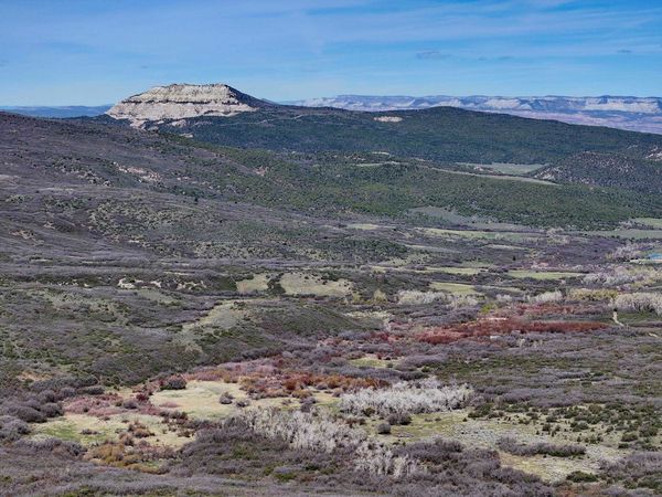 5962 Highway 65, Mesa, CO 81643