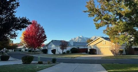 1147 White Oak Loop, Minden, NV 89423 Photo