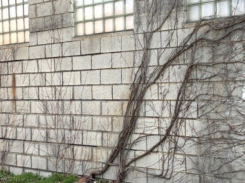 632 E 162nd Street, Cleveland, OH 44110 Photo 10