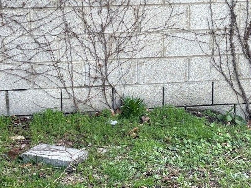 632 E 162nd Street, Cleveland, OH 44110 Photo 11