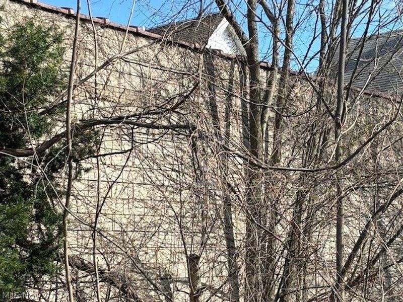 632 E 162nd Street, Cleveland, OH 44110 Photo 14