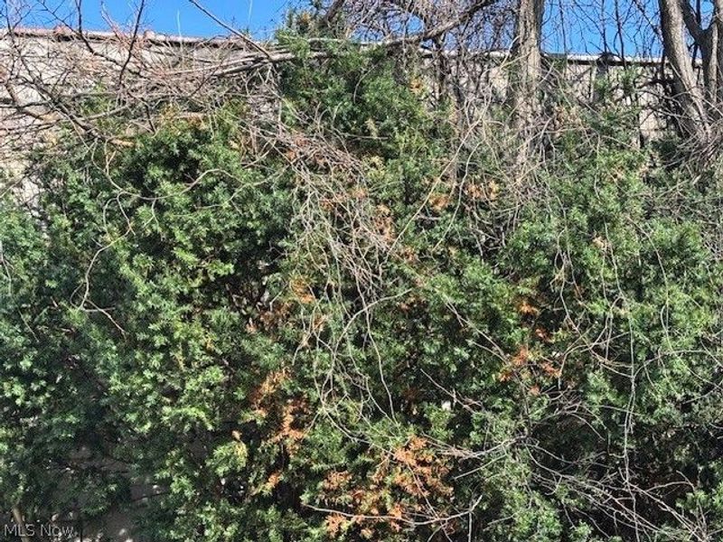 632 E 162nd Street, Cleveland, OH 44110 Photo 15