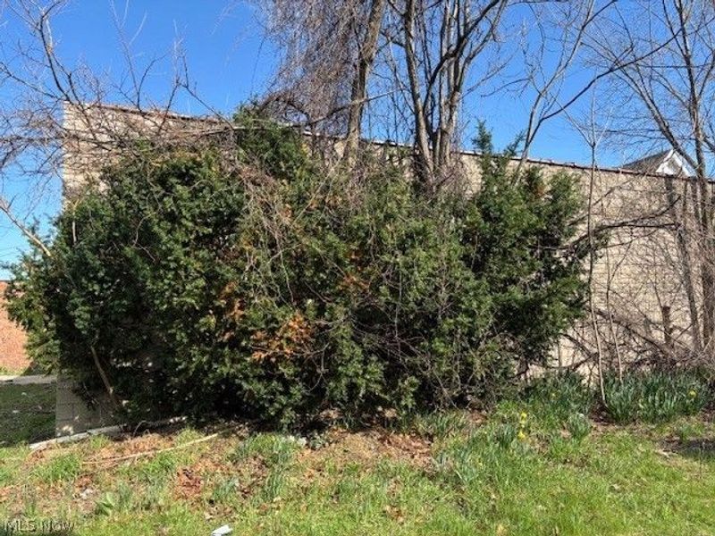 632 E 162nd Street, Cleveland, OH 44110 Photo 17