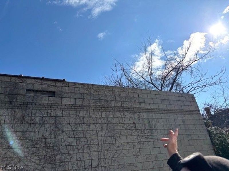 632 E 162nd Street, Cleveland, OH 44110 Photo 9