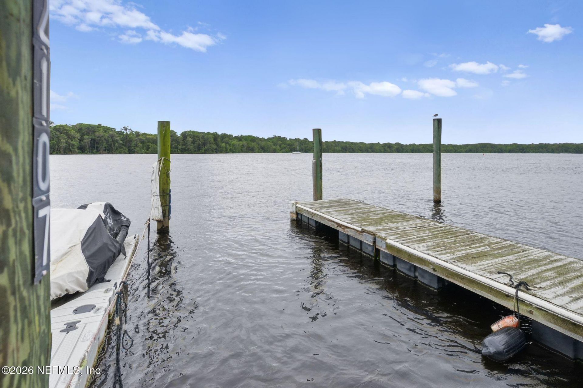 99 Broad River Place, Unit 2107, Welaka, FL 32193 Photo