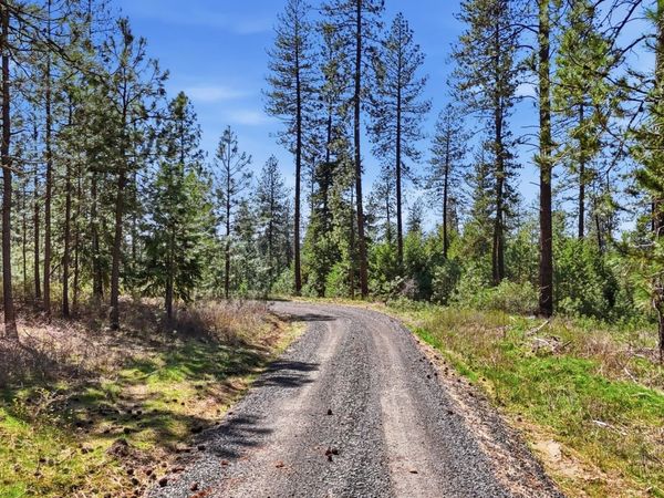 6XXX E Elk Chattaroy Rd, Chattaroy, WA 99003