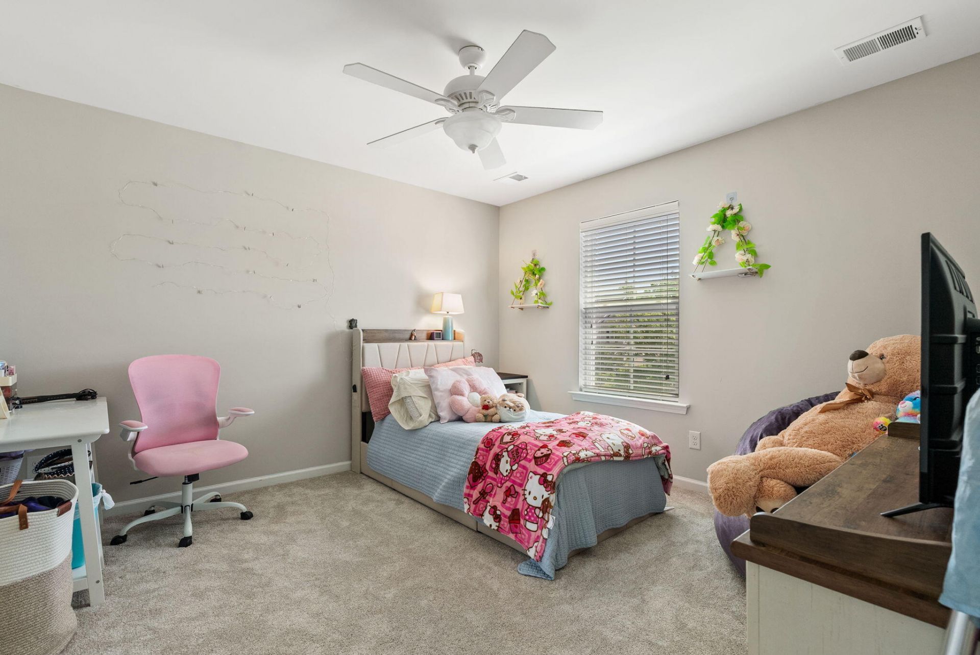 482 Spectrum Road Photo 29