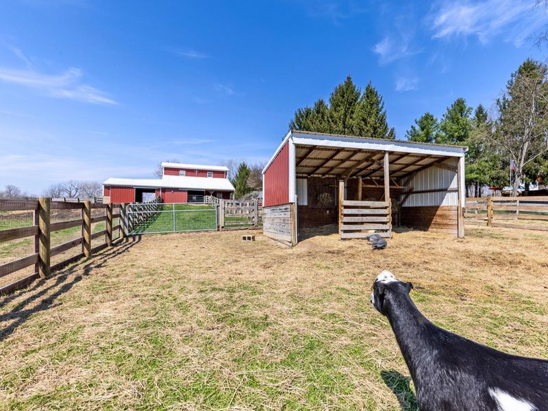 3020 Township Road 190, Fredericktown, OH 43019 Photo 136