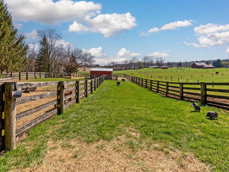 3020 Township Road 190, Fredericktown, OH 43019 Photo 138