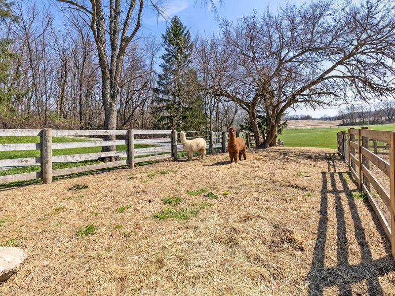 3020 Township Road 190, Fredericktown, OH 43019 Photo 140