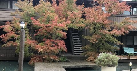 2476 Larkspur Ln #169, Unit 169, Sacramento, CA 95825 Photo