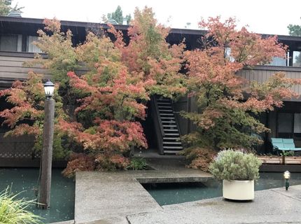 2476 Larkspur Ln #169, Unit 169, Sacramento, CA 95825 Photo