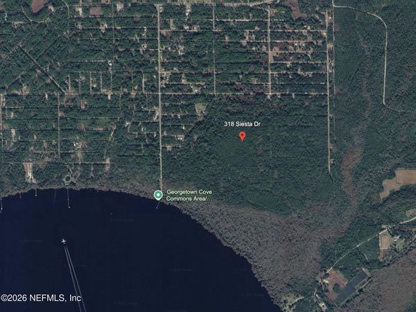 318 SIESTA Drive, Georgetown, FL 32139