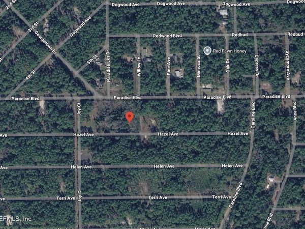 212 HAZEL Avenue, Georgetown, FL 32139