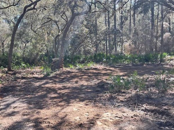 119 GARDENIA AVENUE, GEORGETOWN, FL 32139