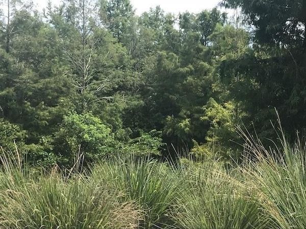 1604 Goforth Rd, Spencer, TN 38585