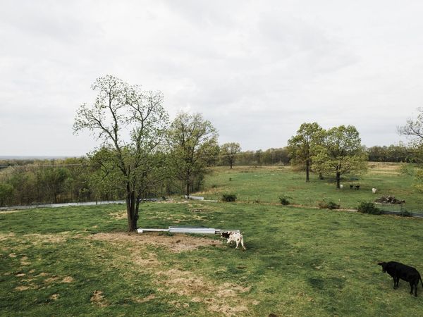 Tbd Buckeye Lane, Stella, MO 64867