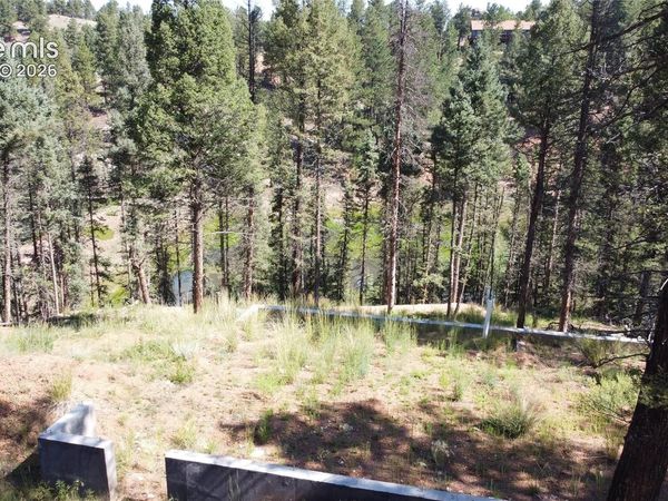 67 Gerka Lane, Florissant, CO 80816