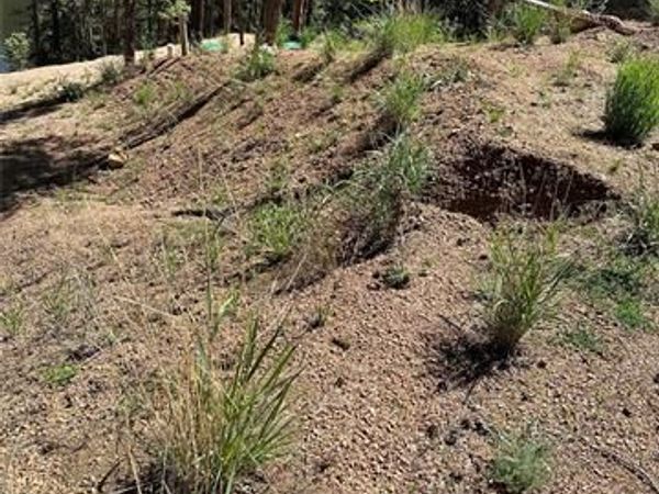 67 Gerka Lane, Florissant, CO 80816