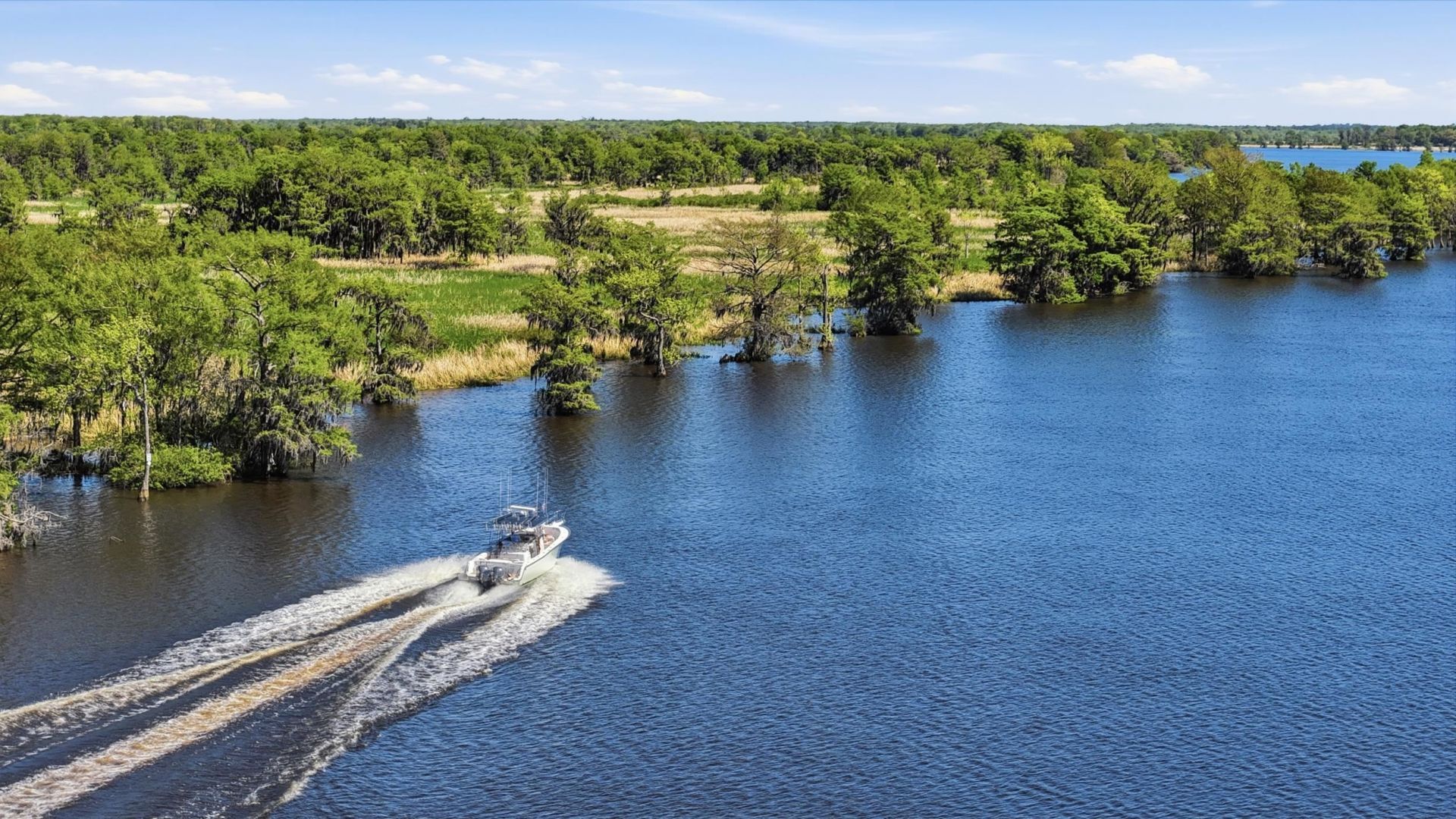 292 Portrush Loop Photo 60