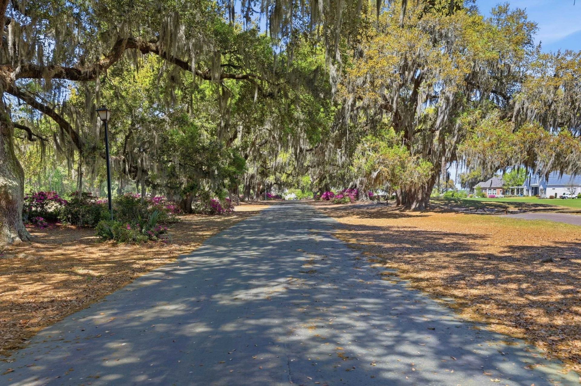 292 Portrush Loop Photo 82