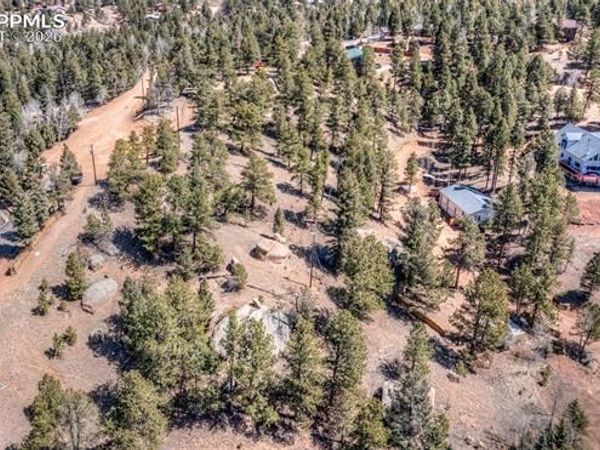 110 La Abu Trail, Florissant, CO 80816