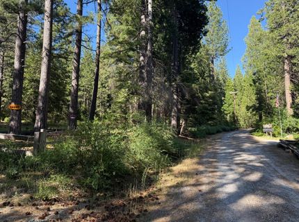 28087 Rolling Hills Rd, Pioneer, CA 95666 Photo