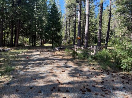28087 Rolling Hills Rd, Pioneer, CA 95666 Photo