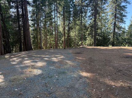 28087 Rolling Hills Rd, Pioneer, CA 95666 Photo