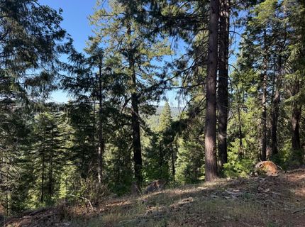 28087 Rolling Hills Rd, Pioneer, CA 95666 Photo