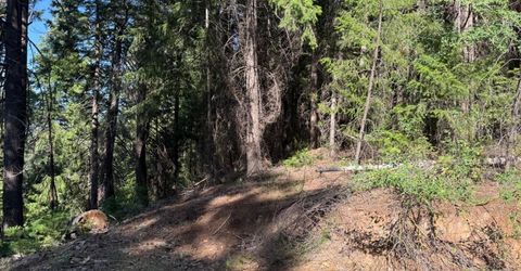 28087 Rolling Hills Rd, Pioneer, CA 95666 Photo