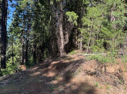 28087 Rolling Hills Rd, Pioneer, CA 95666 Photo