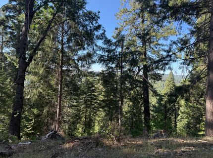 28087 Rolling Hills Rd, Pioneer, CA 95666 Photo