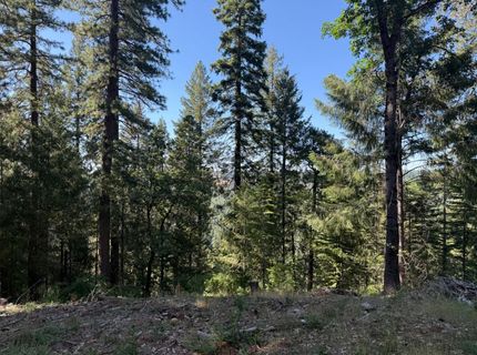 28087 Rolling Hills Rd, Pioneer, CA 95666 Photo