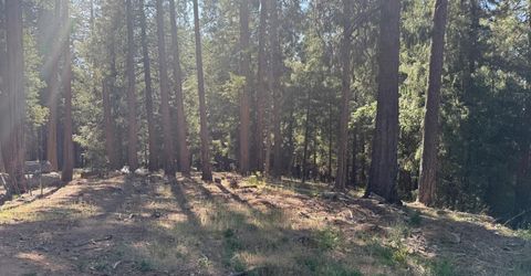 28087 Rolling Hills Rd, Pioneer, CA 95666 Photo