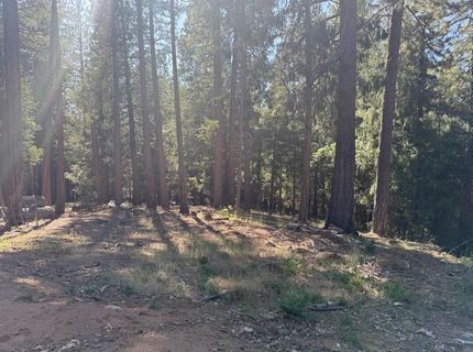 28087 Rolling Hills Rd, Pioneer, CA 95666 Photo