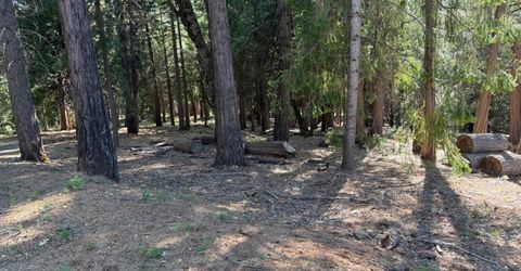 28087 Rolling Hills Rd, Pioneer, CA 95666 Photo