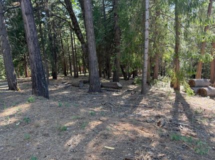 28087 Rolling Hills Rd, Pioneer, CA 95666 Photo