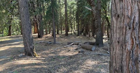 28087 Rolling Hills Rd, Pioneer, CA 95666 Photo