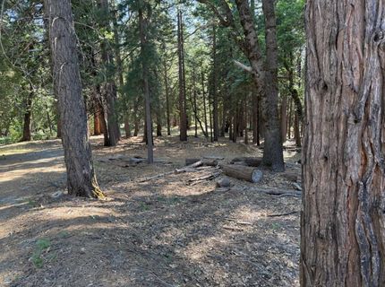 28087 Rolling Hills Rd, Pioneer, CA 95666 Photo